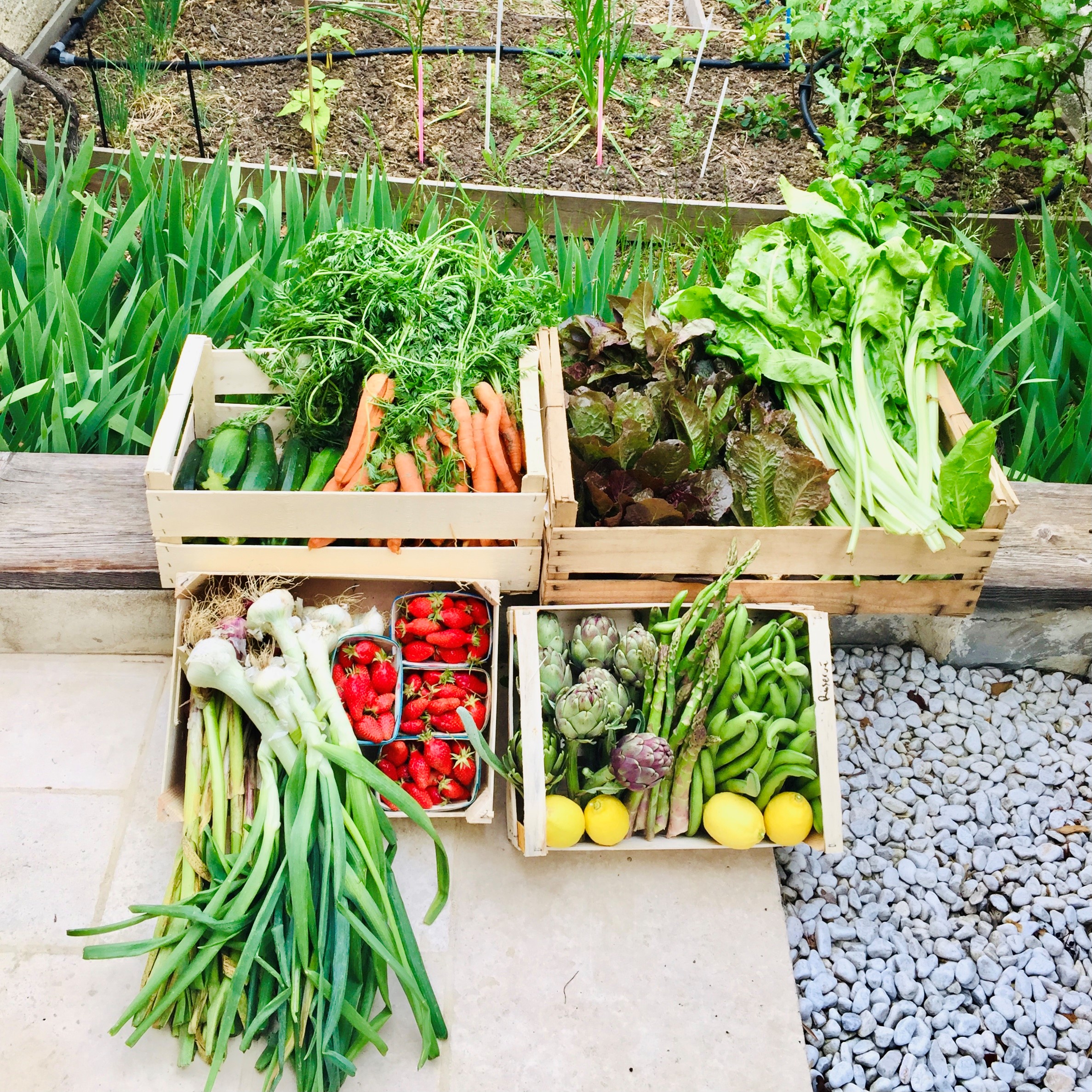 Légumes de saison vapeur Traiteur Nature Ethique Bio La Ciotat Cassis Ceyreste Roquefort La Bédoule Aubagne Carnoux
