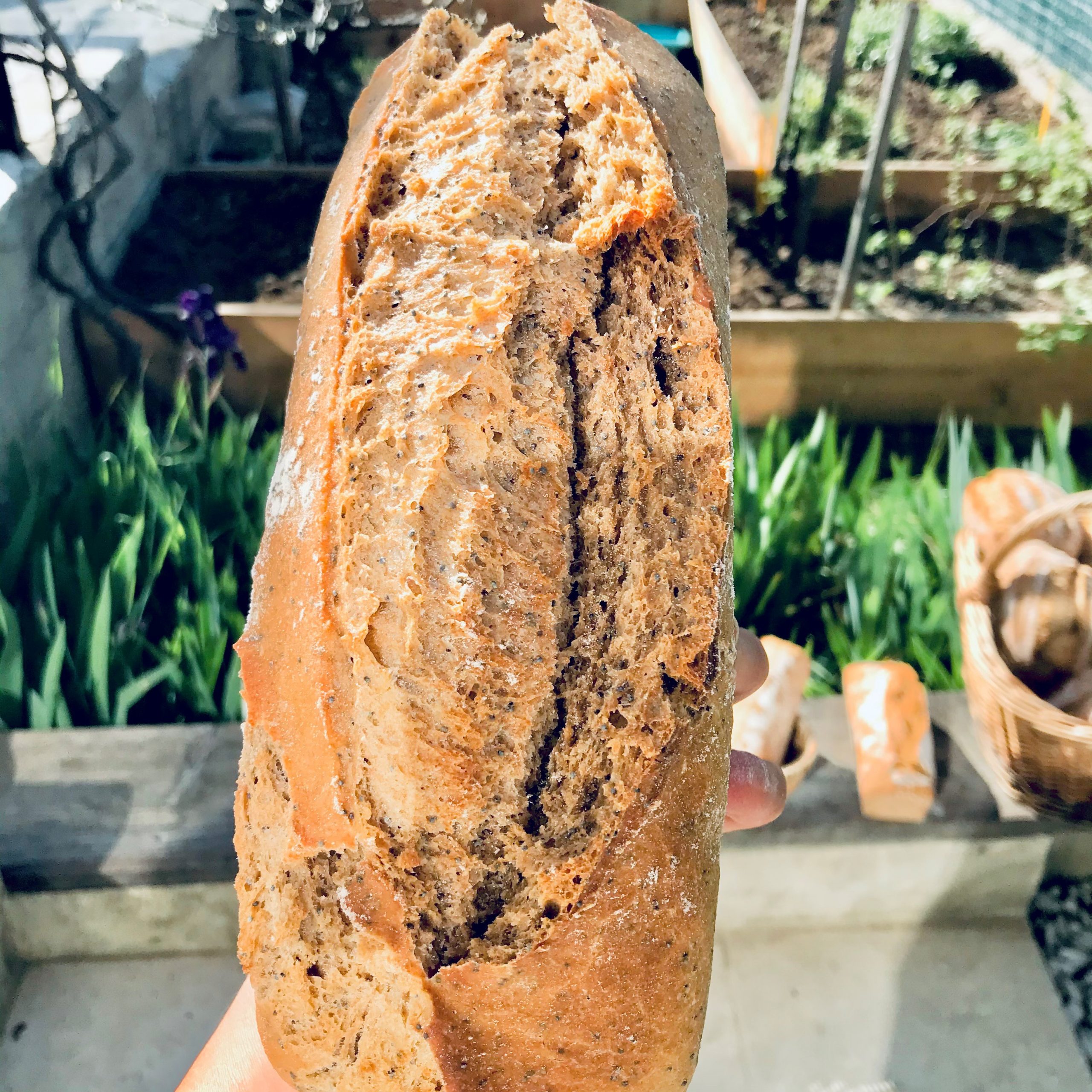 Pavé pur petit épeautre Traiteur Ethique Cassis Poivre d'Ail
